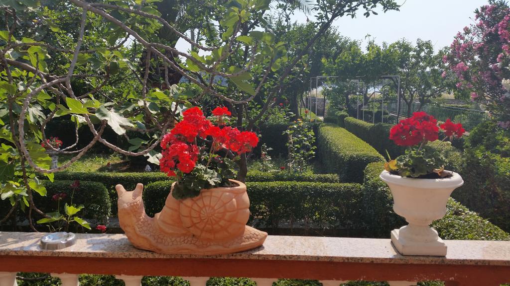 Guesthouse Mira راب المظهر الخارجي الصورة