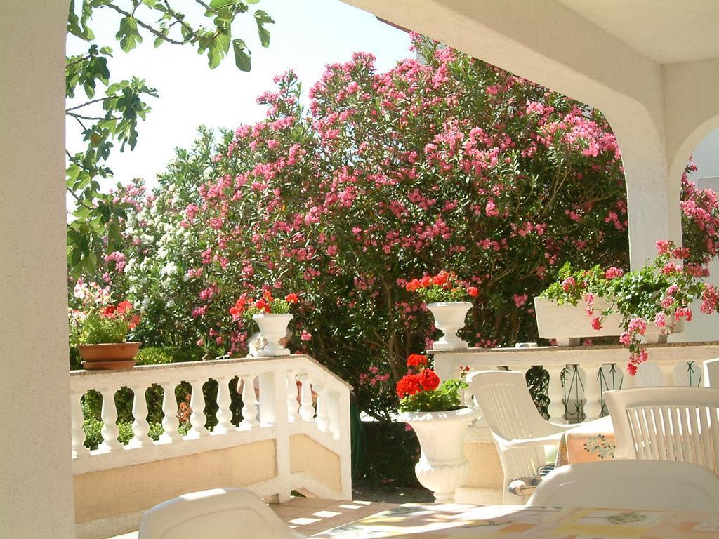Guesthouse Mira راب المظهر الخارجي الصورة